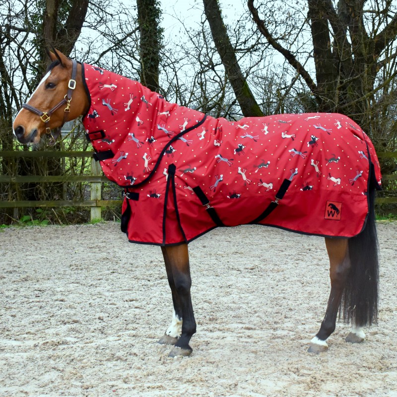 R426- Charlie 200g Combo Turnout Rug with Fully Detachable Hood